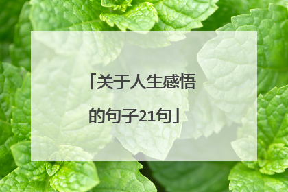 关于人生感悟的句子21句
