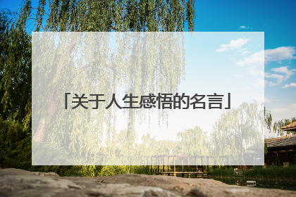 关于人生感悟的名言