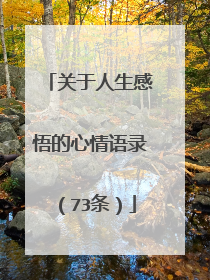 关于人生感悟的心情语录(73条)