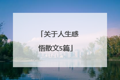 关于人生感悟散文5篇