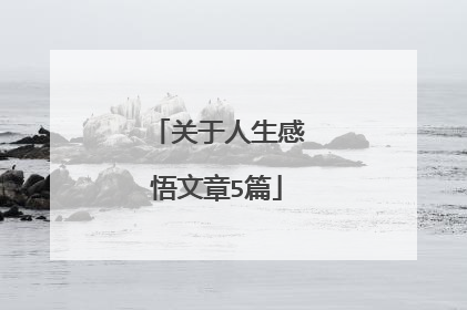 关于人生感悟文章5篇