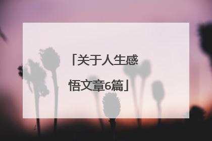 关于人生感悟文章6篇