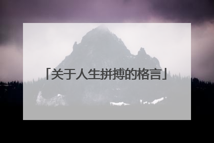 关于人生拼搏的格言