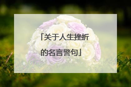 关于人生挫折的名言警句