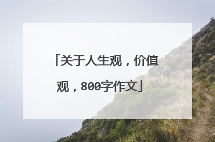 关于人生观，价值观，800字作文
