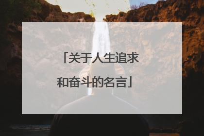 关于人生追求和奋斗的名言