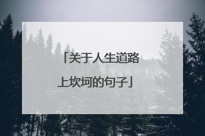 关于人生道路上坎坷的句子