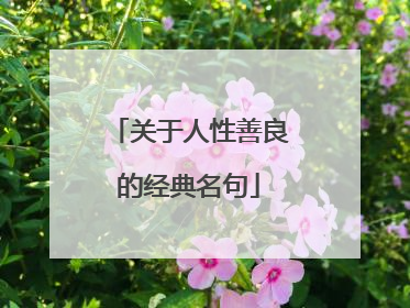 关于人性善良的经典名句