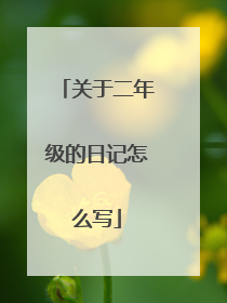 关于二年级的日记怎么写