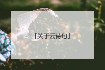 关于云诗句