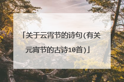 关于云霄节的诗句(有关元宵节的古诗10首)