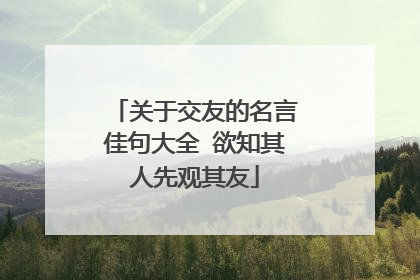关于交友的名言佳句大全 欲知其人先观其友