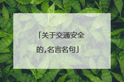 关于交通安全的,名言名句