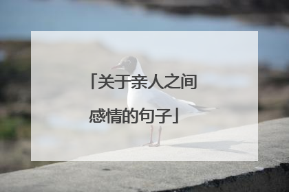 关于亲人之间感情的句子