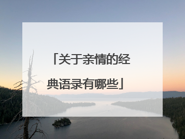 关于亲情的经典语录有哪些