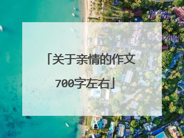 关于亲情的作文700字左右