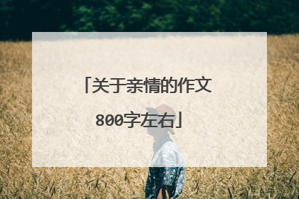 关于亲情的作文800字左右