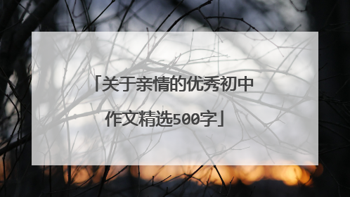 关于亲情的优秀初中作文精选500字