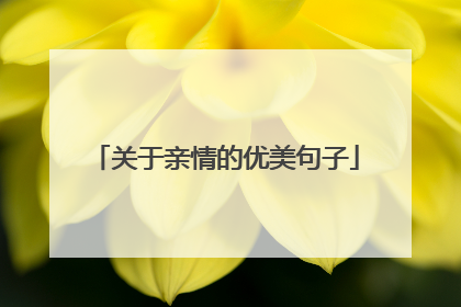 关于亲情的优美句子