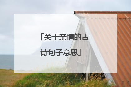 关于亲情的古诗句子意思