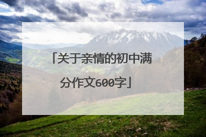 关于亲情的初中满分作文600字