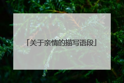 关于亲情的描写语段