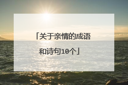 关于亲情的成语和诗句10个