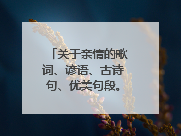关于亲情的歌词、谚语、古诗句、优美句段。800字以上