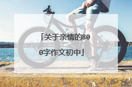 关于亲情的800字作文初中