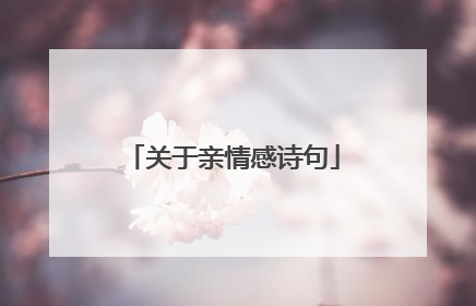 关于亲情感诗句