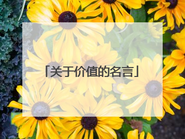 关于价值的名言
