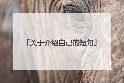 关于介绍自己的短句