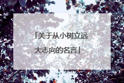 关于从小树立远大志向的名言