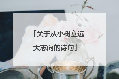 关于从小树立远大志向的诗句