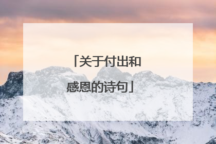 关于付出和感恩的诗句