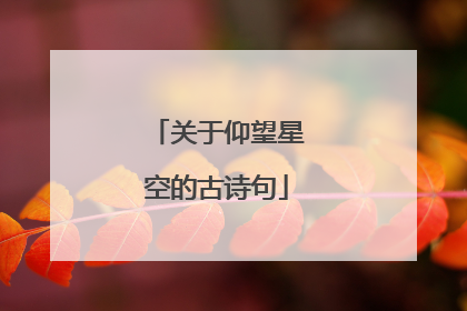 关于仰望星空的古诗句