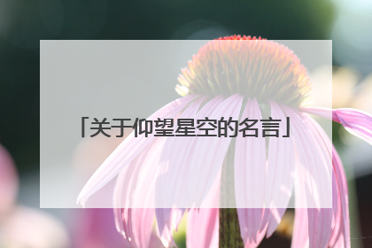 关于仰望星空的名言