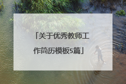 关于优秀教师工作简历模板5篇