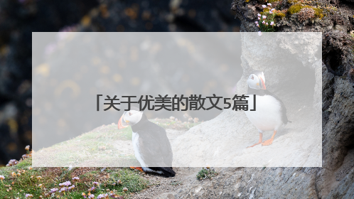 关于优美的散文5篇