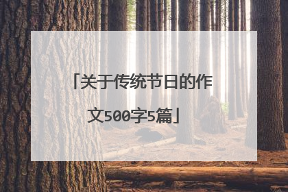关于传统节日的作文500字5篇