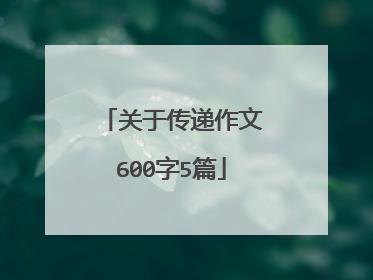 关于传递作文600字5篇