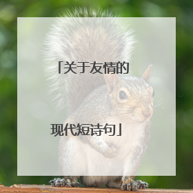 关于友情的现代短诗句