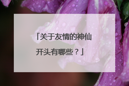 关于友情的神仙开头有哪些?