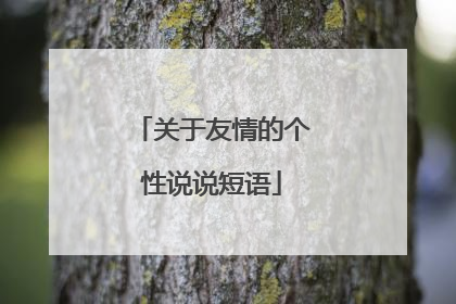 关于友情的个性说说短语