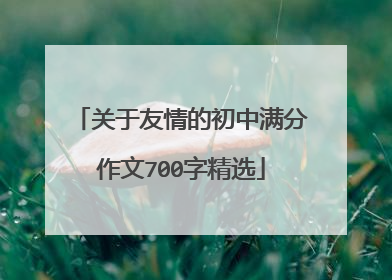 关于友情的初中满分作文700字精选