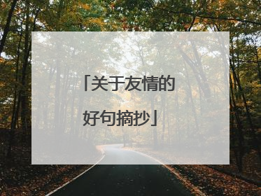 关于友情的好句摘抄