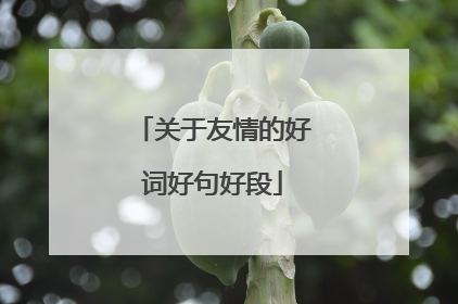关于友情的好词好句好段