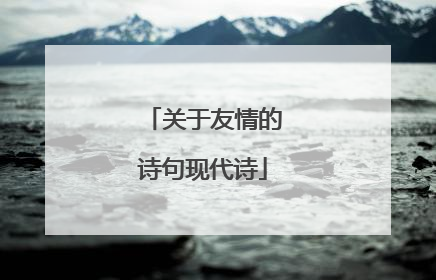 关于友情的诗句现代诗