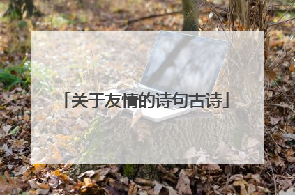 关于友情的诗句古诗