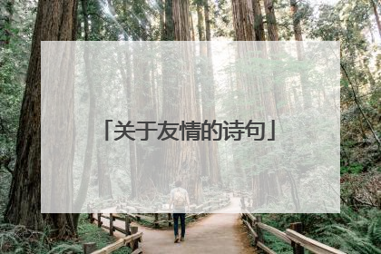 关于友情的诗句